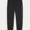 Pantalones de chándal de felpa con estampado alpino relajado