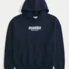 Sudadera con capucha Boxy Glacier Montana Graphic