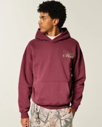 Sudadera con capucha y estampado de los Seminoles de la Universidad Estatal de Florida