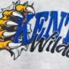 Sudadera con capucha y estampado de los Wildcats de la Universidad de Kentucky