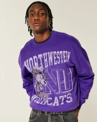 Sudadera con capucha y estampado de los Wildcats de la Universidad Northwestern