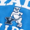 Sudadera con capucha y estampado de los Yale Bulldogs