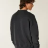 Sudadera con gráfico de los Ducks de la Universidad de Oregón