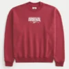 Sudadera con gráfico del Arsenal FC